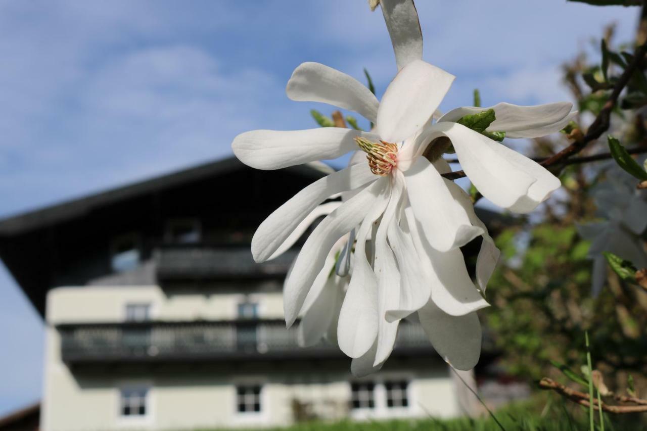 Haus Brandstatter Lejlighed Eben Im Pongau Eksteriør billede